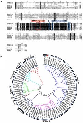 GmWRKY16 Enhances Drought and Salt Tolerance Through an ABA-Mediated Pathway in Arabidopsis thaliana